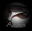 Aculeus